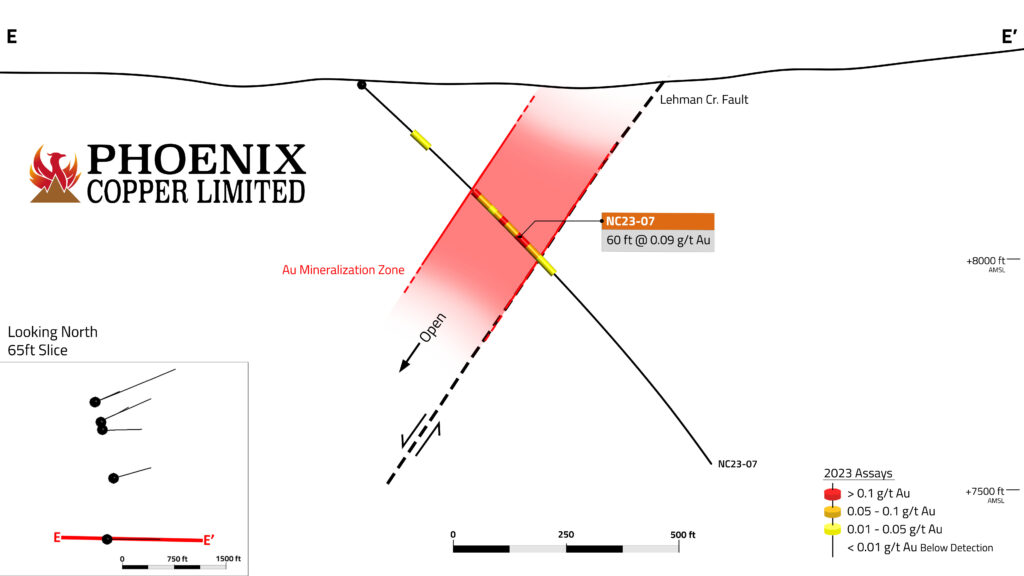Phoenixcopper Navarrecreek Sectione